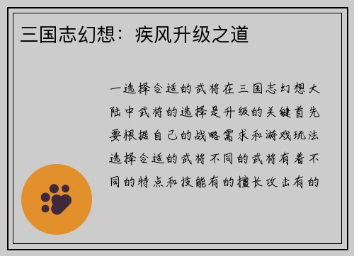 三国志幻想：疾风升级之道